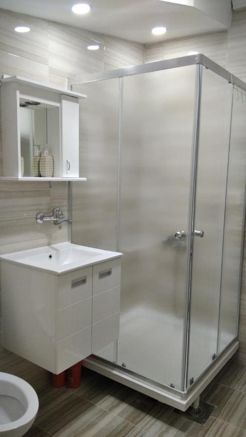 Apartman 4 - Studio Janja Soko Banja Bagian luar foto
