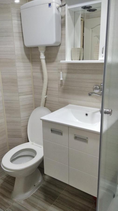 Apartman 4 - Studio Janja Soko Banja Bagian luar foto