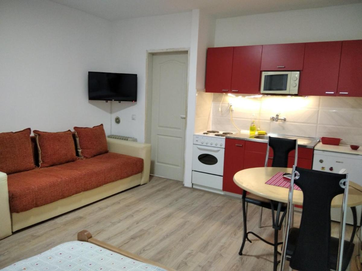 Apartman 4 - Studio Janja Soko Banja Bagian luar foto