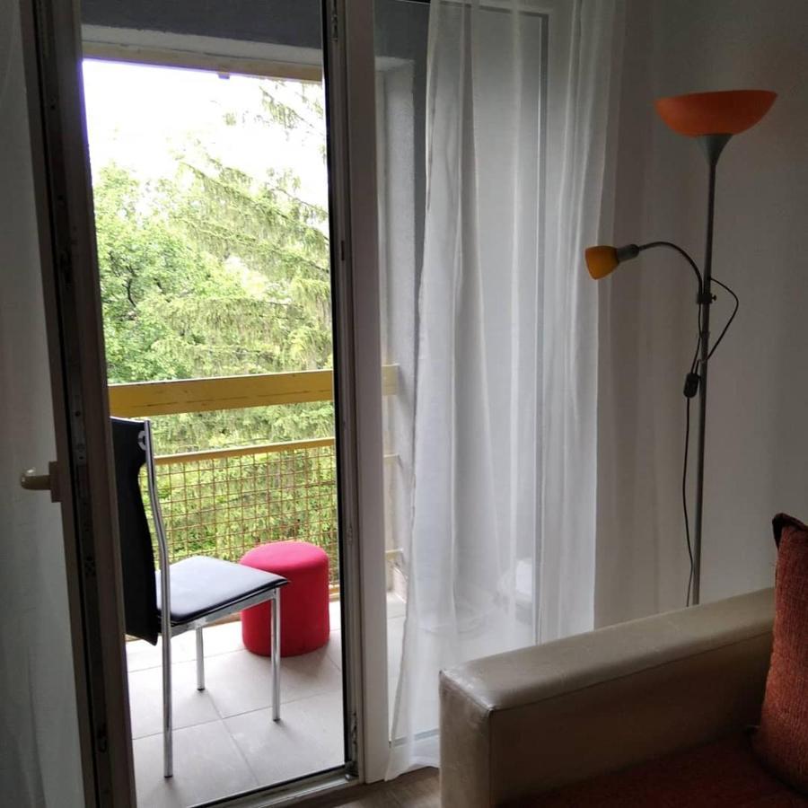 Apartman 4 - Studio Janja Soko Banja Bagian luar foto