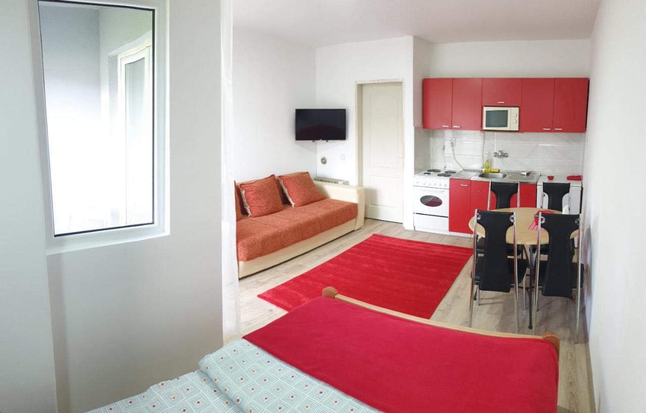 Apartman 4 - Studio Janja Soko Banja Bagian luar foto