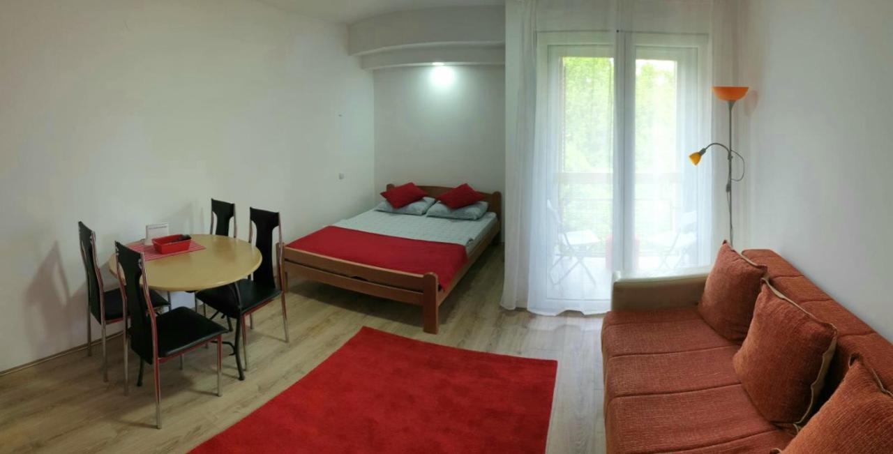 Apartman 4 - Studio Janja Soko Banja Bagian luar foto