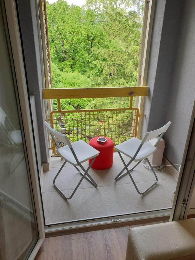 Apartman 4 - Studio Janja Soko Banja Bagian luar foto