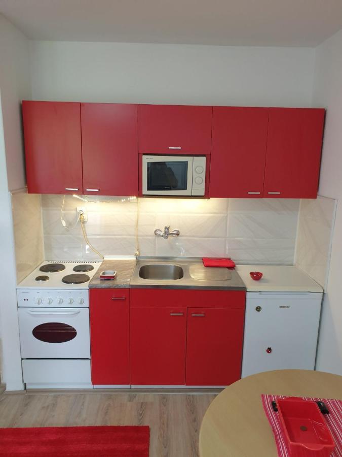 Apartman 4 - Studio Janja Soko Banja Bagian luar foto