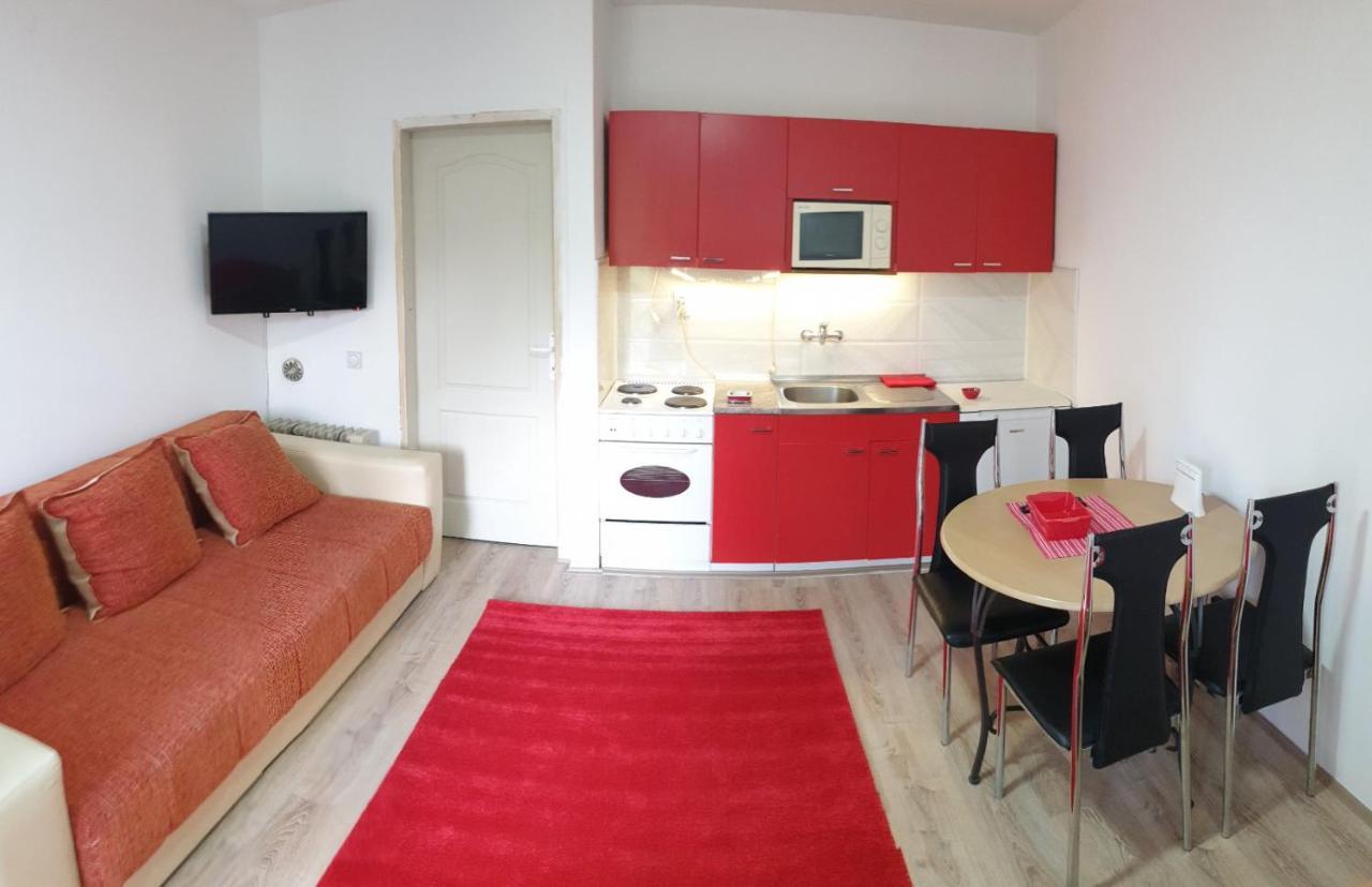 Apartman 4 - Studio Janja Soko Banja Bagian luar foto